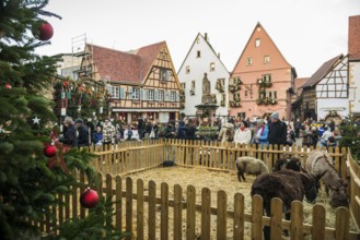 Christmas market, Eguisheim, Haut-Rhin, Grand Est Region, Alsace, France