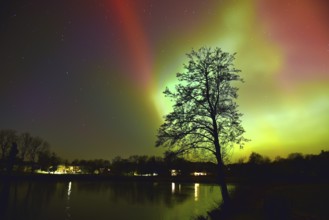 Northern lights, northern lights, on a lake in Schleswig-Holstein, Germany