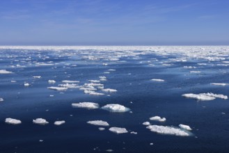 Drift ice, brash ice consists of ice floes in the Arctic Ocean around Svalbard, Spitsbergen in