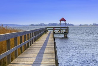 Wooden jetty in Wieck am Darß, Fischland-Darss-Zingst, holiday resort on the Darß peninsula in