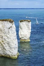 White Cliffs of Old Harry Rocks Jurassic Coast, Handfast Point, Dorset, UK
