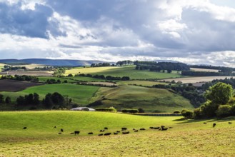 Scottish fields and farms, Southeast Scotland, UK