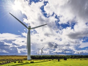 Wind Farm in southeast Scotland, UK