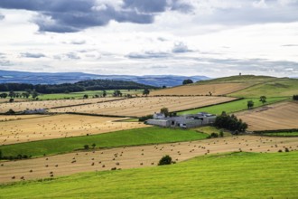 Scottish fields and farms, Southeast Scotland, UK