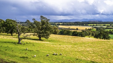 Farms over House of the Binns, Linlithgow, Scotland, UK