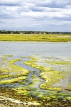 Marshes over Hurst Spit, Milford on Sea, Lymington, Hampshire, UK