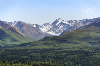 Taiga and tundra in front of mountain landscape, picturesque landscape with icy mountain peaks,