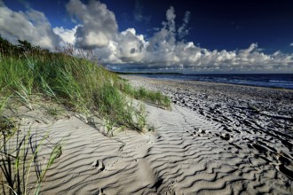 Natural beach with dynamic sky in Vitrupe, Vitrupe, Latvia