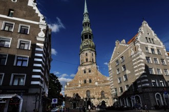 Gothic St. Peter's Church in Riga between historic buildings in sunlight, Riga, Latvia