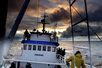 Boat on a sunset whale watching trip near Andenes, Andenes, Vesterålen, Norway