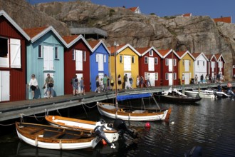 Lively harbor with colorful boathouses and boats situated on the waterfront, Smögen, Västra