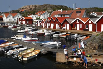 Red wooden houses on a lively harbour full of boats in idyllic surroundings, Klädesholmen, Västra