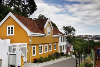 Colourful old wooden houses in Telthusbakken with wooded background and views of the city, Oslo,