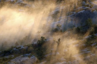 Picturesque sunrise light on a fog-shrouded plateau creating a mystical atmosphere, zero
