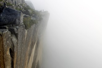 A rocky edge covered in fog rises majestically on the way to Preikestolen, Preikestolen, Rogaland,