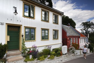Old wooden houses in Telthusbakken with plants and colorful building look, Oslo, Norway