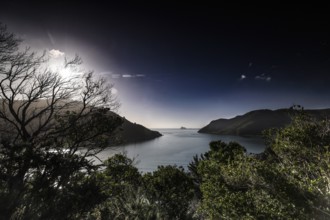 View of a tranquil sound surrounded by mountains and forests along French Pass Road, French Pass