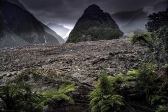 View of Fox Glacier with dramatic clouds and green vegetation in the foreground, Fox Glacier, West
