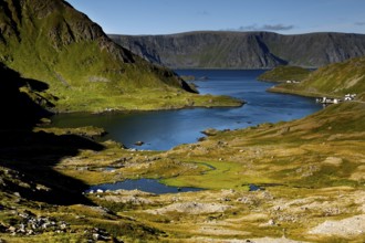 Landscape with fjord-like water and green slopes on Magerøya, Magerøya, Norway