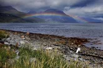 Rainbow over Lyngen Fjord with dramatic coastal landscape, Lyngen Fjord, Troms, Norway