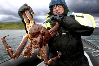 Person on rib boat holding impressive king crab against cloud-covered sky, Sarnesfjord, Norway