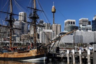 Historic sailing ship in Darling Harbour in front of a modern skyline under blue sky, Sydney, New
