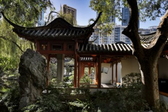 Traditional architecture and lush vegetation in the Chinese Garden of Friendship, Sydney, New South