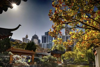 Autumn scenery with pagoda and modern skyline in the Chinese Garden, Sydney, New South Wales,