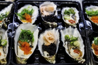 Decoratively presented oysters with green and black toppings at Sydney Fish Market, Sydney, New