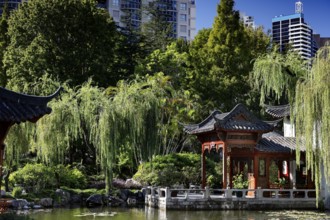 Traditional pavilion with pond and city buildings in the background, Sydney, New South Wales,