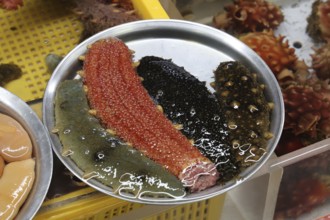 Various colorful sea cucumbers in a bowl at the Jagalchi fish market, Busan, South Korea