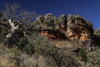 Rocky landscape with trees and distinctive rock formations in the King Leopold Range, zero