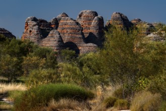 Colourful rocks and vegetation along the Cathedral Cove Trail in Purnululu National Park, Purnululu