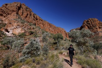 Man hiking on a trail in front of dramatic rocky landscape near Osmand Lookout, Purnululu National