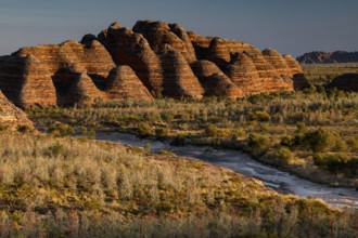 Spectacular Bungle Bungle rock domes near Piccaninny Creek in morning light, Purnululu, Western