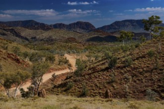 View of Purnululu National Park with winding hiking trail between hills and sparse vegetation,