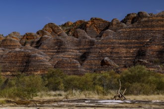 View of the characteristic rock formations of the Bungle Bungle in a dry riverbed, Purnululu