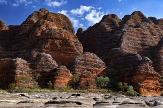View of the famous Bungle Bungle rocks with clear sky, Purnululu, Western Australia, Australia