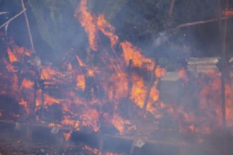 Wadah, the vehicle, the sacred magnificent animal, is the transport vehicle to transport the soul