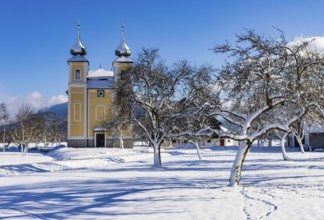 Snowy fruit trees with St. Lawrence Church in Sankt Lorenz bei Mondsee, Mondseeland, Salzkammergut,