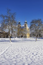 Snowy fruit trees with St. Lawrence Church in Sankt Lorenz bei Mondsee, Mondseeland, Salzkammergut,