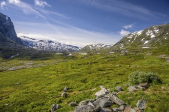 Geiranger, Møre og Romsdal province, Norway, green fields against snow-covered mountains under