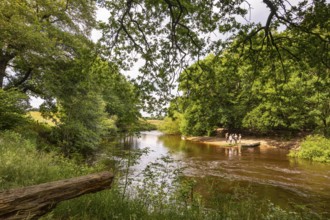 Canoeists do water sports on the Hunte near Astrup, Barneführer Holz, Wardenburg, Lower Saxony,