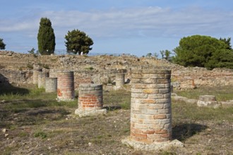 Aleria Roman Archaeological Site, Haute-Corse Department, Corsica, Mediterranean Sea, France