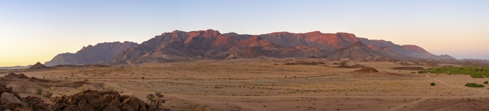 Desert landscape with Brandberg in morning light, at sunrise, Erongo, Damaraland, Namibia