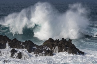 Waves on the ocean off Madeira, Porto Moniz, Madeira, Portugal