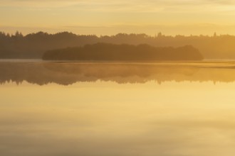 Sunrise with fog on a lake at the Ahlhoner fish ponds, Ahlhorn, Lower Saxony, Germany