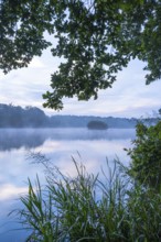 Daybreak with fog at blue hour in the Ahlhorner Fischteiche nature reserve of the Lower Saxony