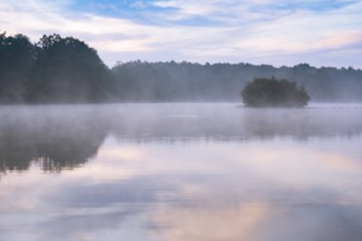 Daybreak with fog at blue hour in the Ahlhorner Fischteiche nature reserve of the Lower Saxony