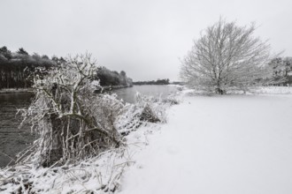 Winter landscape on the Ems, Emsland, Lower Saxony, Germany